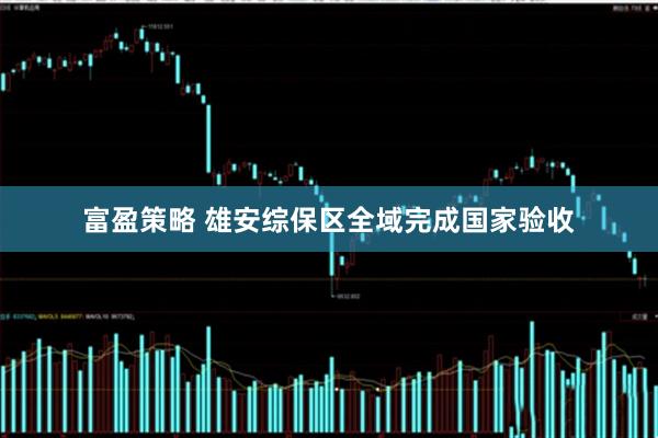 富盈策略 雄安综保区全域完成国家验收