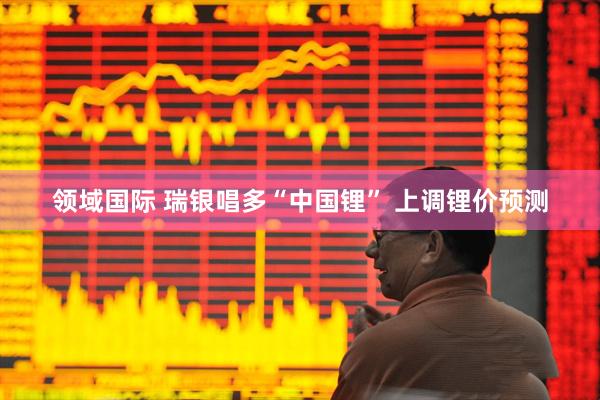 领域国际 瑞银唱多“中国锂” 上调锂价预测