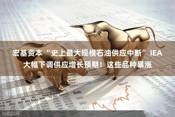 宏基资本 “史上最大规模石油供应中断” IEA大幅下调供应增长预期！这些品种暴涨