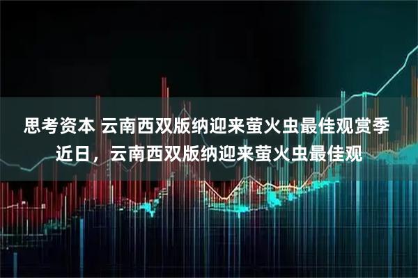 思考资本 云南西双版纳迎来萤火虫最佳观赏季 近日，云南西双版纳迎来萤火虫最佳观