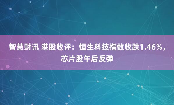 智慧财讯 港股收评：恒生科技指数收跌1.46%，芯片股午后反弹