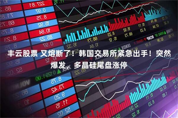丰云股票 又熔断了！韩国交易所紧急出手！突然爆发，多晶硅尾盘涨停
