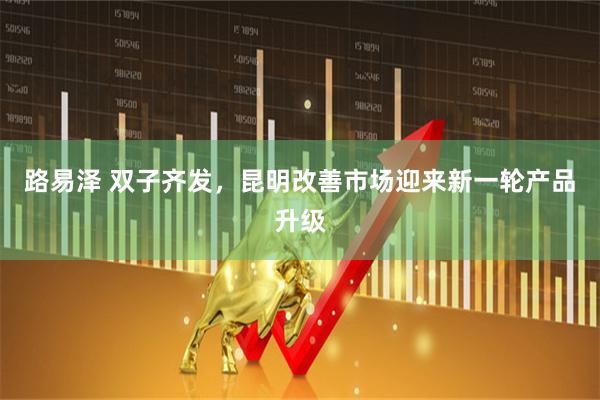 路易泽 双子齐发，昆明改善市场迎来新一轮产品升级