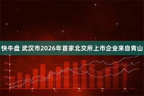 快牛盘 武汉市2026年首家北交所上市企业来自青山