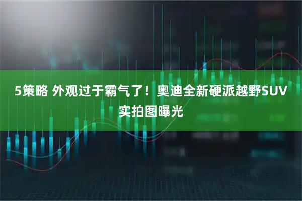 5策略 外观过于霸气了！奥迪全新硬派越野SUV实拍图曝光